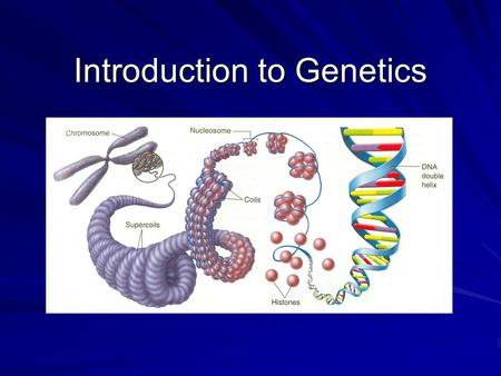 Introduction to Genetics. Heredity Every living thing – plant or animal, microbe or human being – has a set of characteristics inherited from its parent.
