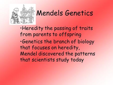Mendels Genetics Heredity the passing of traits from parents to offspring Genetics the branch of biology that focuses on heredity, Mendel discovered the.