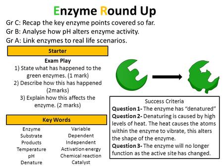 Enzyme Round Up Gr C: Recap the key enzyme points covered so far.