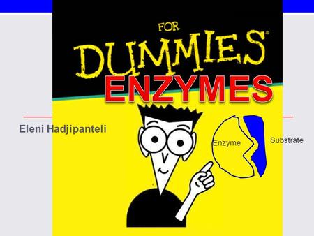 Eleni Hadjipanteli Substrate Enzyme. What are Enzymes? Organic molecules; Proteins *Globular *suffix –ase Catalysts that help speed up reactions Power.