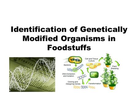 Identification of Genetically Modified Organisms in Foodstuffs.