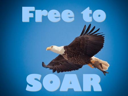 Free to SOAR. SOAR An obstacle we must overcome: Our Past.