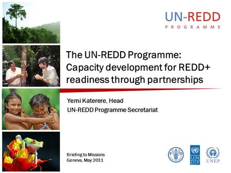 The UN-REDD Programme: Capacity development for REDD+ readiness through partnerships Yemi Katerere, Head UN-REDD Programme Secretariat Briefing to Missions.