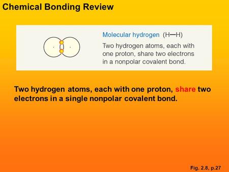 Two hydrogen atoms, each with one proton, share two electrons in a single nonpolar covalent bond. Fig. 2.8, p.27 Chemical Bonding Review.