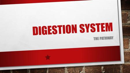 DIGESTION SYSTEM THE PATHWAY. WHAT IS DIGESTION? THE PROCESS IN WHICH FOOD IS BROKEN DOWN, NUTRIENTS ARE ABSORBED AND WASTES ARE ELIMINATED THE FOUR STAGES.