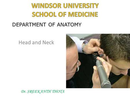 Head and Neck Dr. SREEKANTH THOTA DEPARTMENT OF ANATOMY.