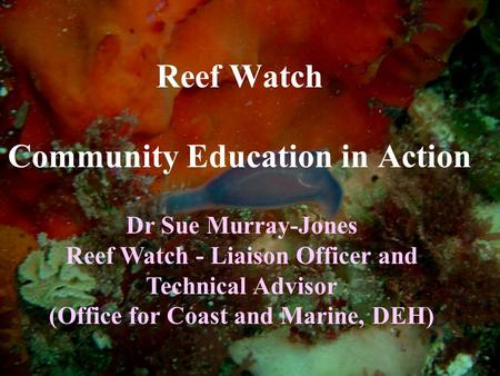 Reef Watch Community Education in Action Dr Sue Murray-Jones Reef Watch - Liaison Officer and Technical Advisor (Office for Coast and Marine, DEH)