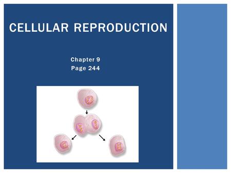 Chapter 9 Page 244 CELLULAR REPRODUCTION  Cells grow until they reach their size limit, then their either stop growing or divide.  Limitation for cell.