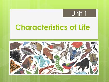 Characteristics of Life Unit 1. What do living things do? #1: Made of one or more cells  Unicellular: organisms consisting of a single cell  Multicellular: