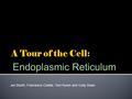 Endoplasmic Reticulum Jen Booth, Francesca Colella, Tom Kuren and Cody Swan.
