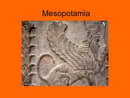 Mesopotamia. This civilization rose in the valleys between the Tigris and Euphrates rivers. This civilization arose around 3500 B.C.E.