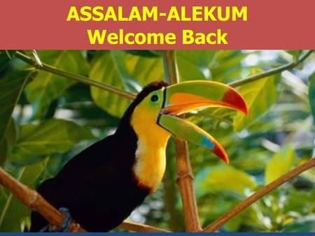 ASSALAM-ALEKUM Welcome Back.