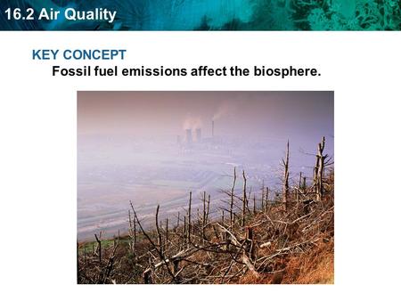 16.2 Air Quality KEY CONCEPT Fossil fuel emissions affect the biosphere.
