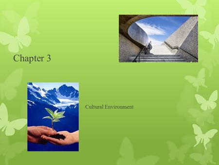 Chapter 3 Cultural Environment. INTRODUCTION  International business and hospitality services are to a great extent influenced by the cultural values.