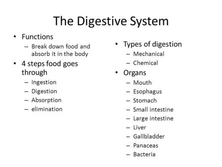 The Digestive System Functions – Break down food and absorb it in the body 4 steps food goes through – Ingestion – Digestion – Absorption – elimination.