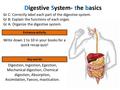 Digestive System- the basics