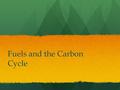 Fuels and the Carbon Cycle. Preassessment Look at the following statements. Decide if they can be true or not, and explain why. You have breathed some.