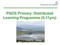 PGCE Primary: Distributed Learning Programme (5-11yrs)