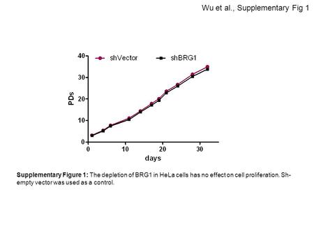 Wu et al., Supplementary Fig 1 Supplementary Figure 1: The depletion of BRG1 in HeLa cells has no effect on cell proliferation. Sh- empty vector was used.
