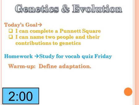 Today’s Goal   I can complete a Punnett Square  I can name two people and their contributions to genetics Homework  Study for vocab quiz Friday Warm-up:
