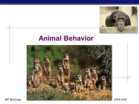 AP Biology 2006-2007 Animal Behavior AP Biology What is behavior & Why study it?  Behavior  everything an animal does & how it does it  response to.