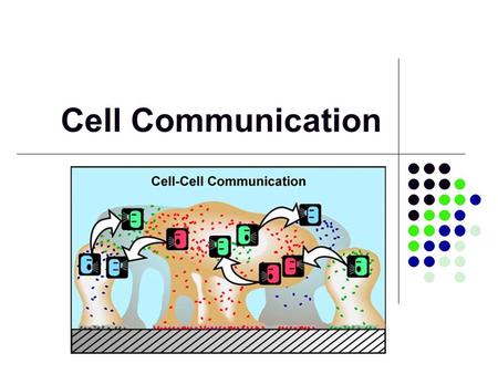 Cell Communication. Communication Cells must communicate with other cells and respond to their environment Basic communication processes are shared across.