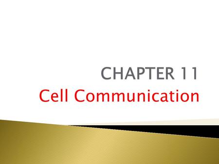 Cell Communication.  Cell-to-cell communication is essential for both multicellular and unicellular organisms  Biologists have discovered some universal.