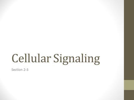 Cellular Signaling Section 2-3. Discussion Points: What happened? How did you recognize where to go? How does this model cell communication? What effect.