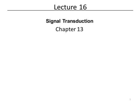 Lecture 16 Signal Transduction Chapter 13.