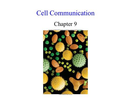 Cell Communication Chapter 9. Cell Communication Communication between cells requires: ligand: the signaling molecule receptor protein: the molecule to.