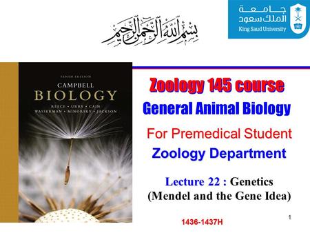 1 Zoology 145 course General Animal Biology For Premedical Student 1436-1437H Zoology Department Lecture 22 : Lecture 22 : Genetics (Mendel and the Gene.