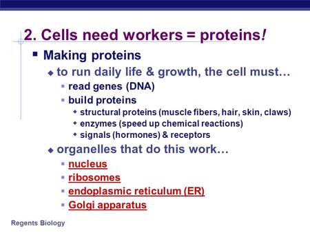 Regents Biology 2. Cells need workers = proteins!  Making proteins  to run daily life & growth, the cell must…  read genes (DNA)  build proteins 