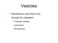 Vesicles Membranous sacs that move through the cytoplasm –Transport vesicles –Lysosomes –Peroxisomes.