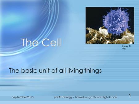 September 2015preAP Biology – Lookabaugh Moore High School The Cell The basic unit of all living things 1.