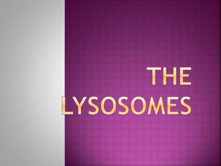  Lysosomes (Greek words lysis, meaning to separate, and soma, body) are the cell's waste disposal system and can digest some compounds.  Lysosomes.