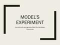 MODEL’S EXPERIMENT How ethnicity and gender effect Afro-Caribbean Economics.