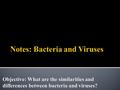 Objective: What are the similarities and differences between bacteria and viruses?