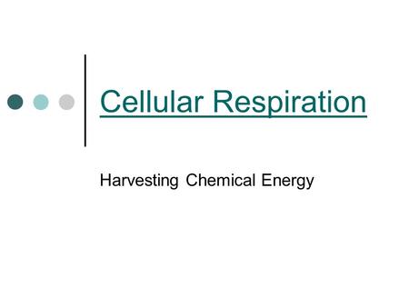 Cellular Respiration Harvesting Chemical Energy. Energy All living things need energy Energy comes from food when broken down Energy is stored in chemical.