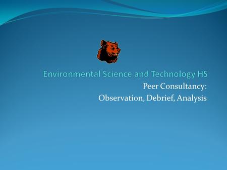 Peer Consultancy: Observation, Debrief, Analysis.