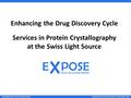 Santina Russo, Expose GmbH, September 2013 Enhancing the Drug Discovery Cycle Services in Protein Crystallography at the Swiss Light Source BioValley Life.