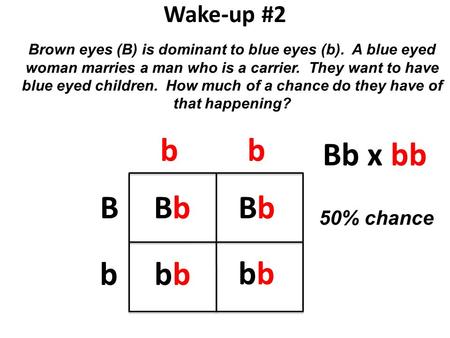 Wake-up #2 Brown eyes (B) is dominant to blue eyes (b). A blue eyed woman marries a man who is a carrier. They want to have blue eyed children. How much.