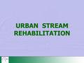 URBAN STREAM REHABILITATION. The URBEM Framework.