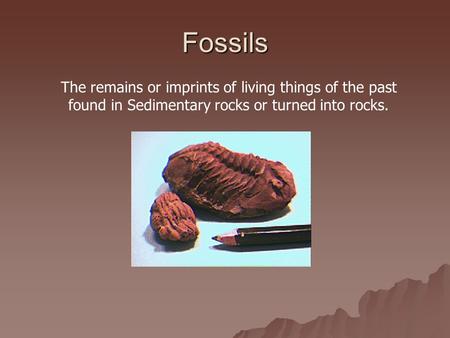 Fossils The remains or imprints of living things of the past found in Sedimentary rocks or turned into rocks.