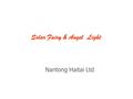 Nantong Haitai Ltd Solar Fairy & Angel Light. Solar Fairy & Angel Range Solar Fairy HTSL-1085 1pc of LED Material: plastic&poly resin 1*AA size rechargeable.