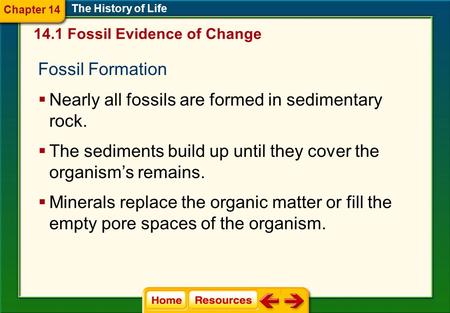 Fossil Formation The History of Life  Nearly all fossils are formed in sedimentary rock.  The sediments build up until they cover the organism’s remains.