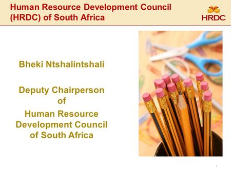 Human Resource Development Council (HRDC) of South Africa Bheki Ntshalintshali Deputy Chairperson of Human Resource Development Council of South Africa.