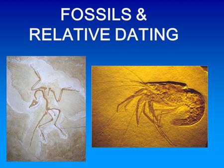 FOSSILS & RELATIVE DATING