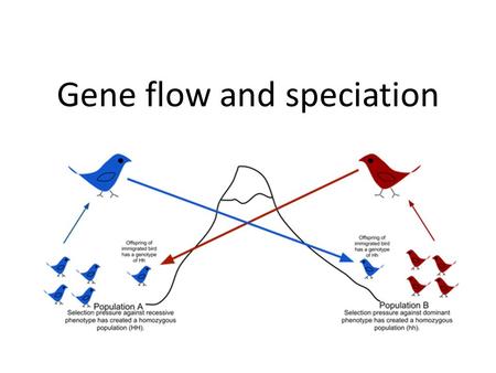 Gene flow and speciation. Mechanism for speciation Allopatric speciation Sympatric speciation.