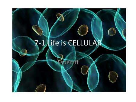 7-1 Life is CELLULAR Federoff. Discovery of the Cell Microscopes allowed a new world to open up. – Started in the late 1500’s with eyeglass makers Robert.