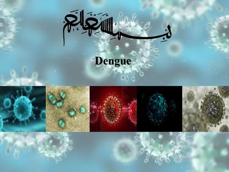 Dengue. Dengue cycle Aedes mosquitoes which reside in water-filled containers.
